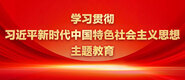 啊啊啊小穴好舒服视频学习贯彻习近平新时代中国特色社会主义思想主题教育_fororder_ad-371X160(2)